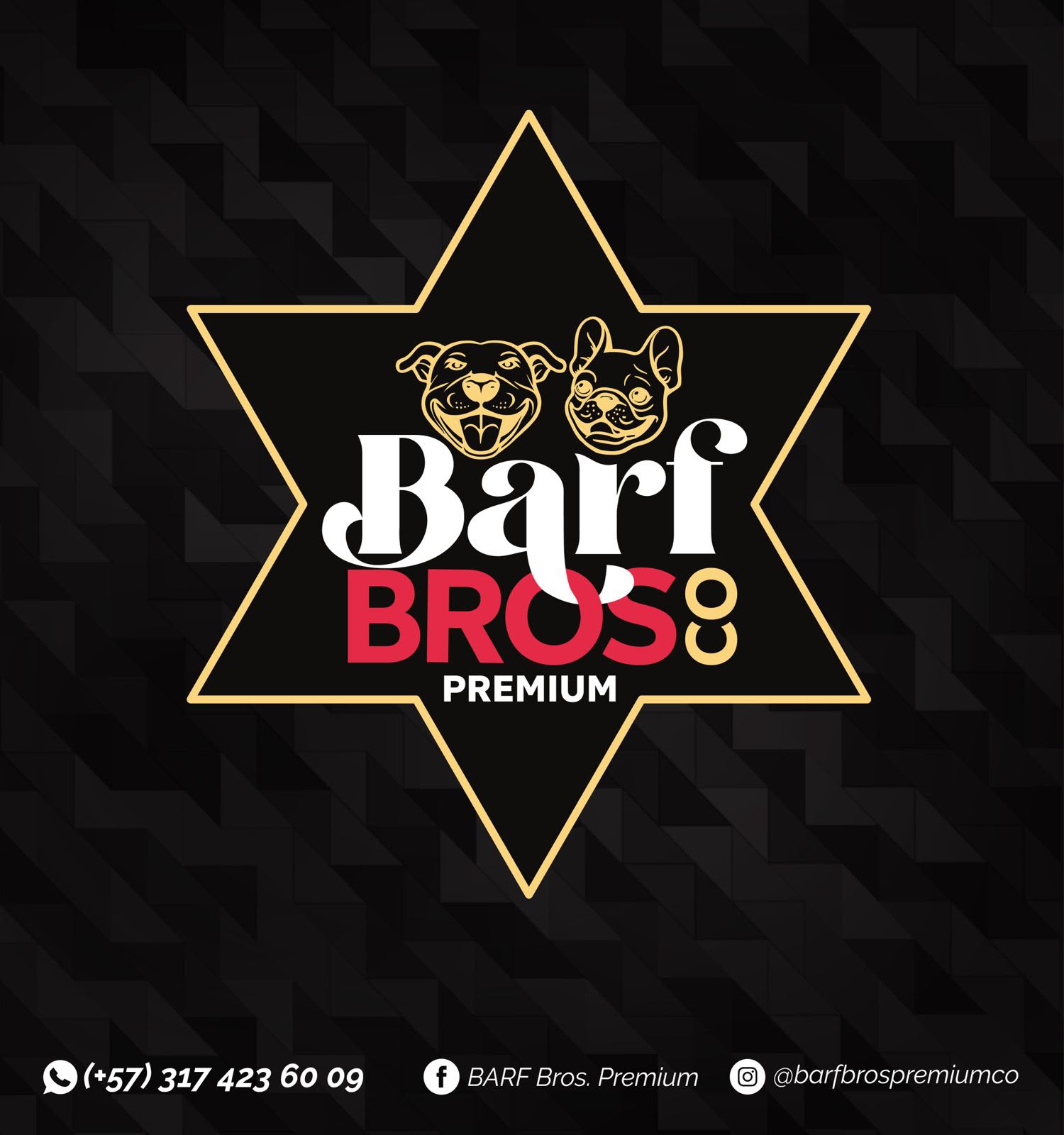 Alimento BARF premium para perros